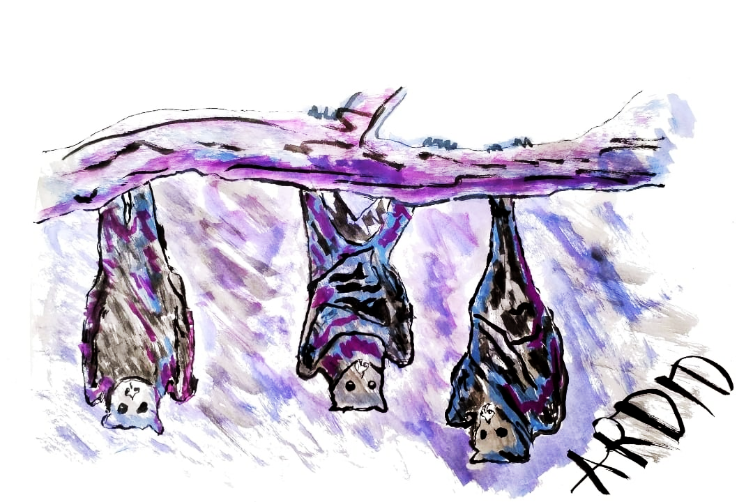 ENDOCRINO – por Simón Soler